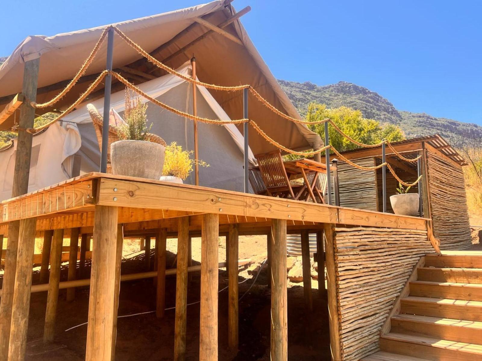 Leopard Valley Eco Retreat Ситрусдал Номер фото