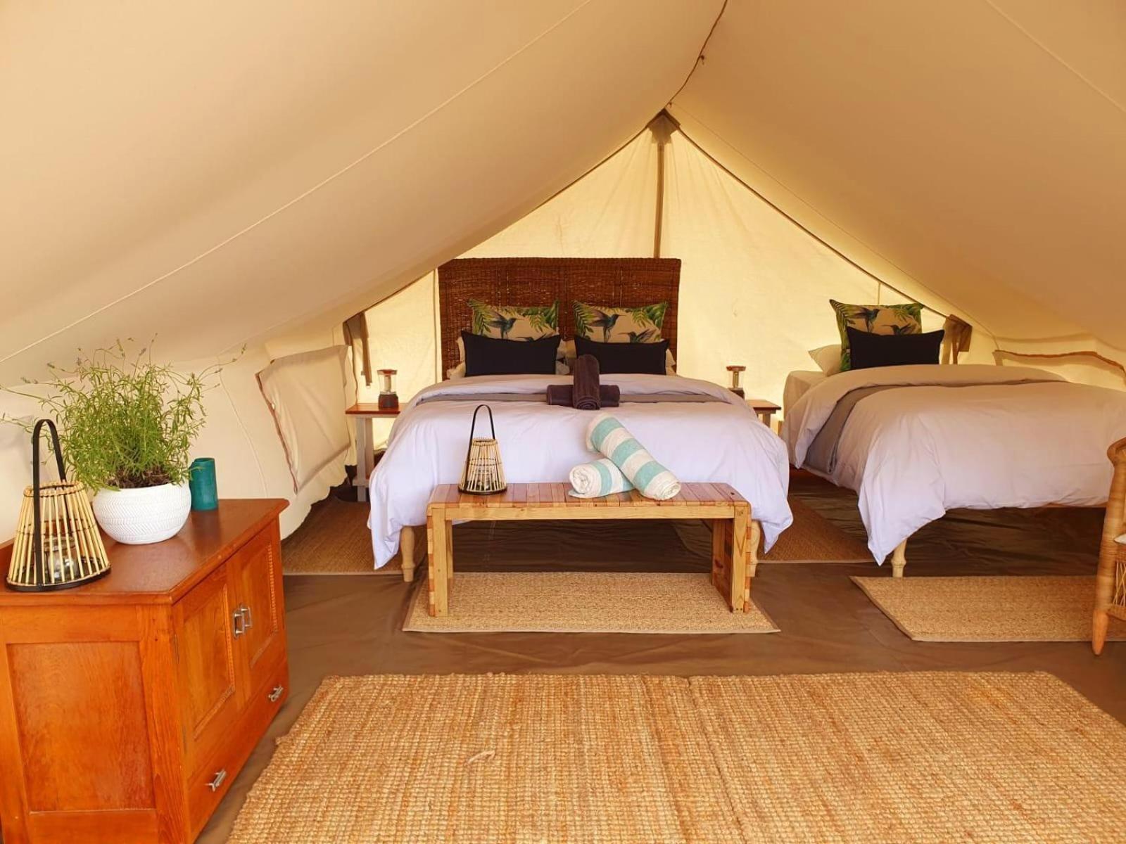 Leopard Valley Eco Retreat Ситрусдал Номер фото