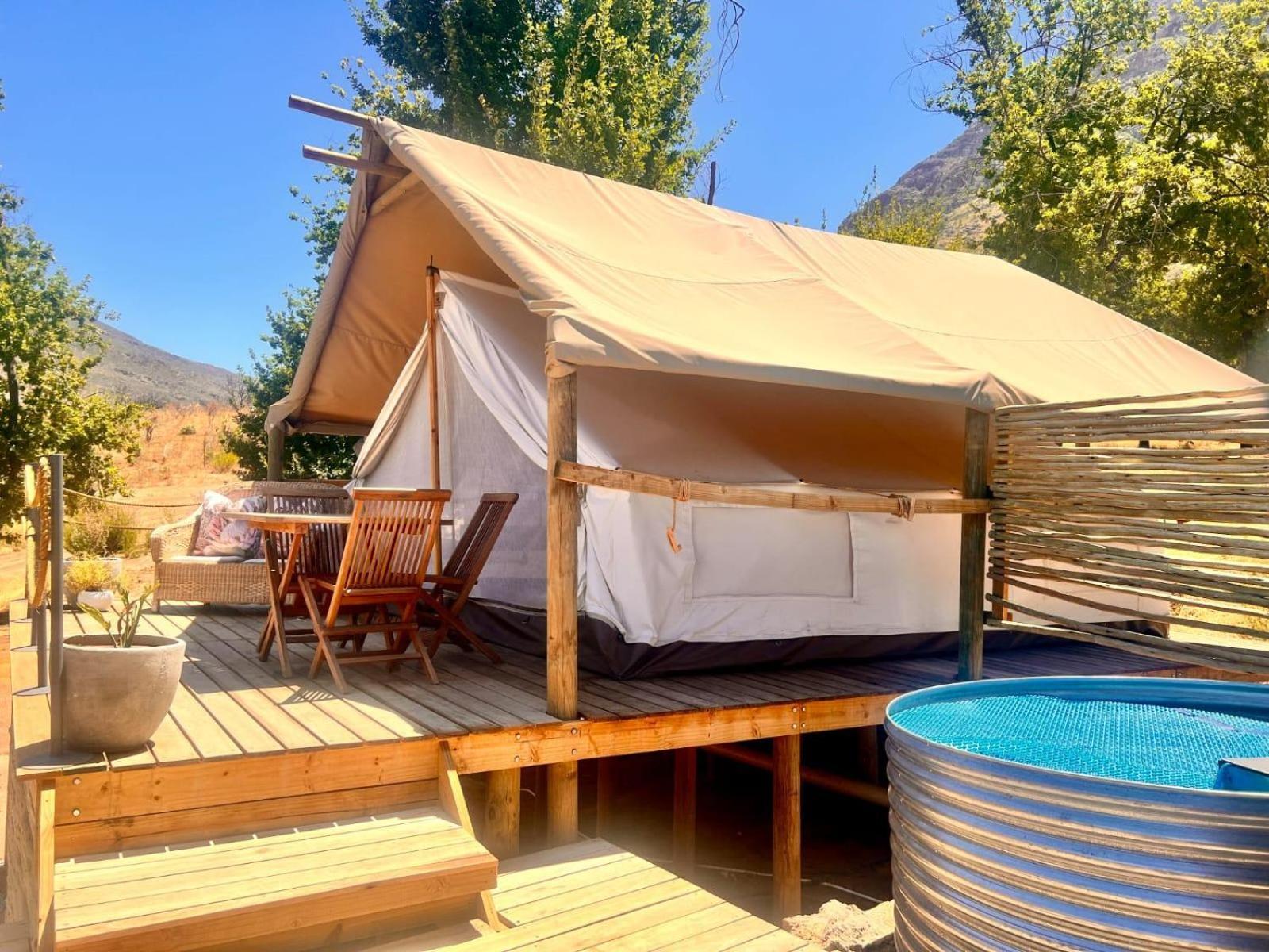 Leopard Valley Eco Retreat Ситрусдал Номер фото