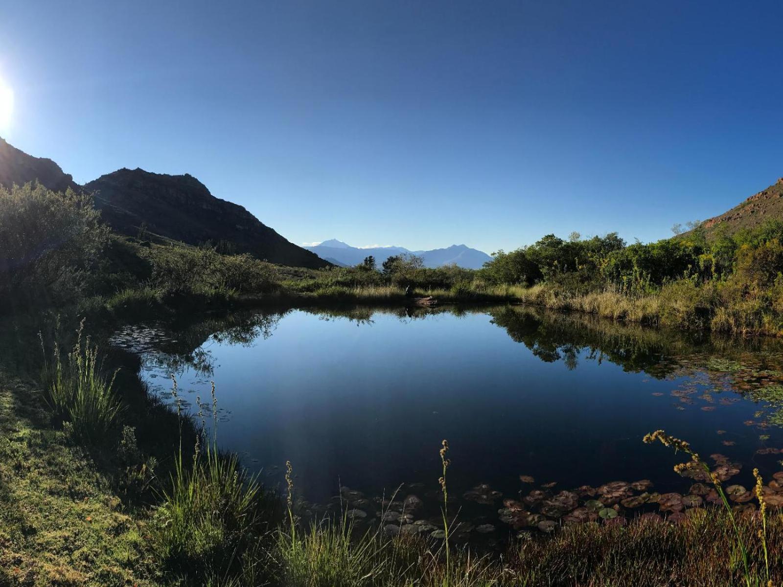 Leopard Valley Eco Retreat Ситрусдал Номер фото