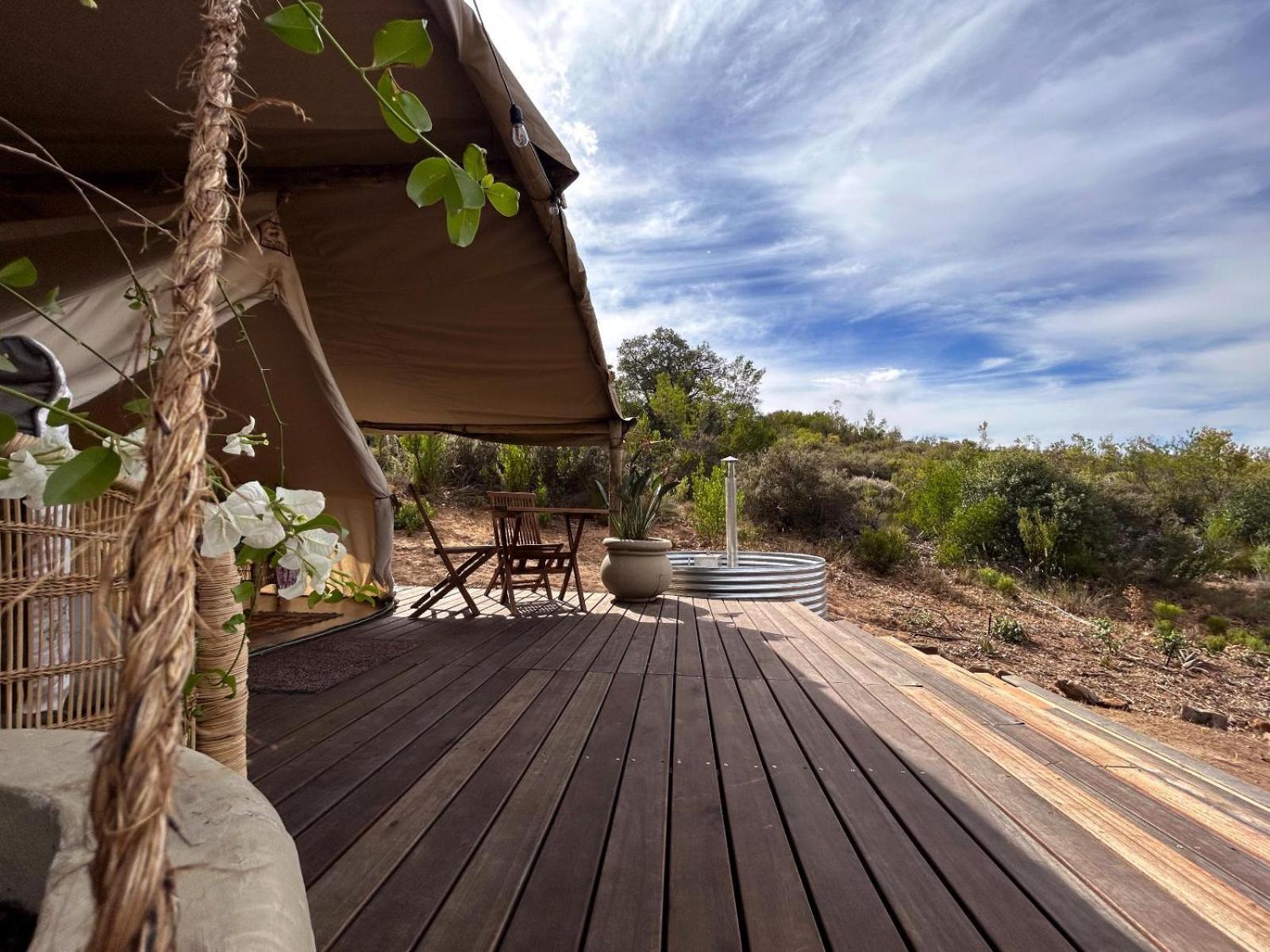 Leopard Valley Eco Retreat Ситрусдал Номер фото