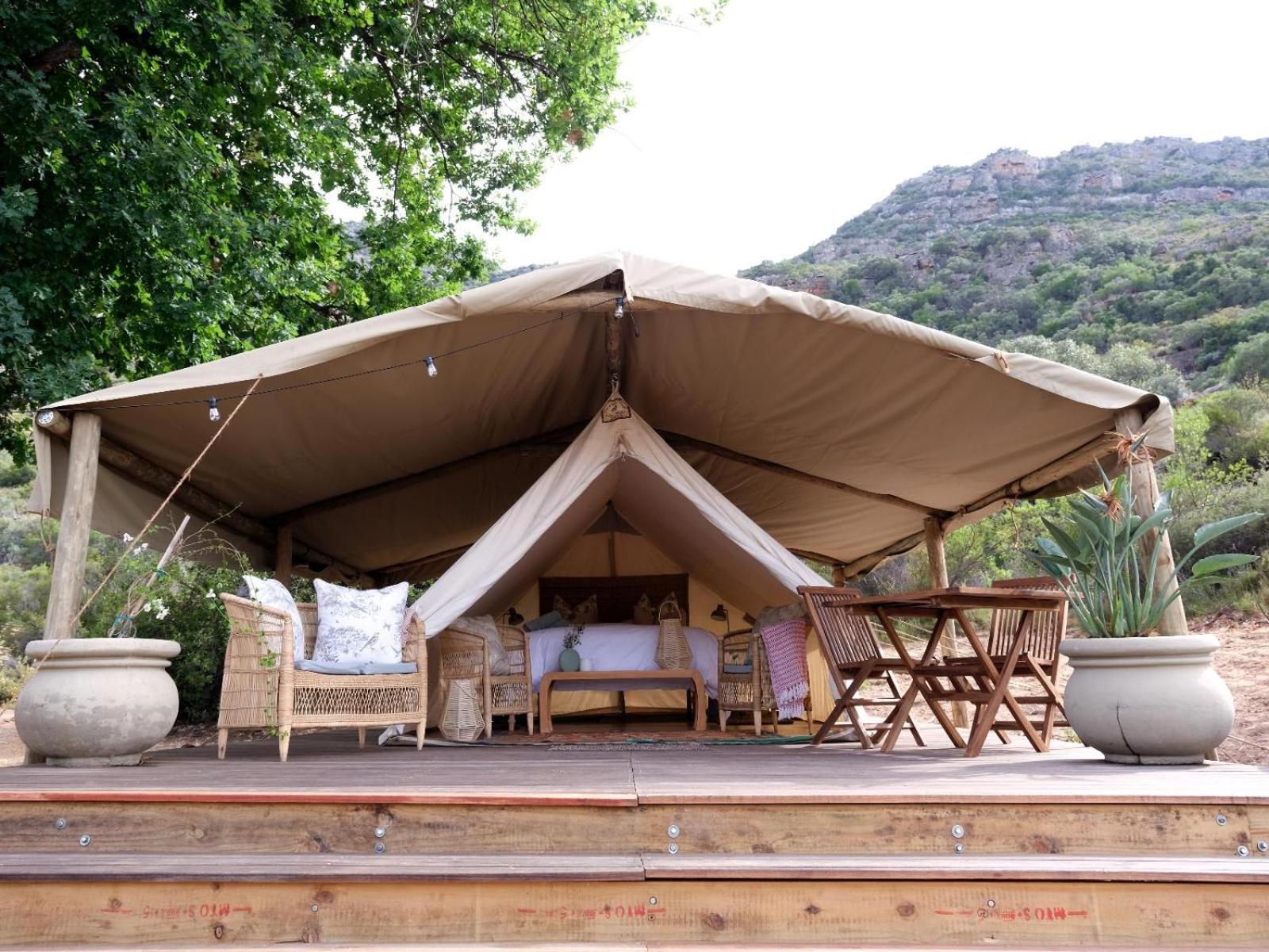 Leopard Valley Eco Retreat Ситрусдал Номер фото