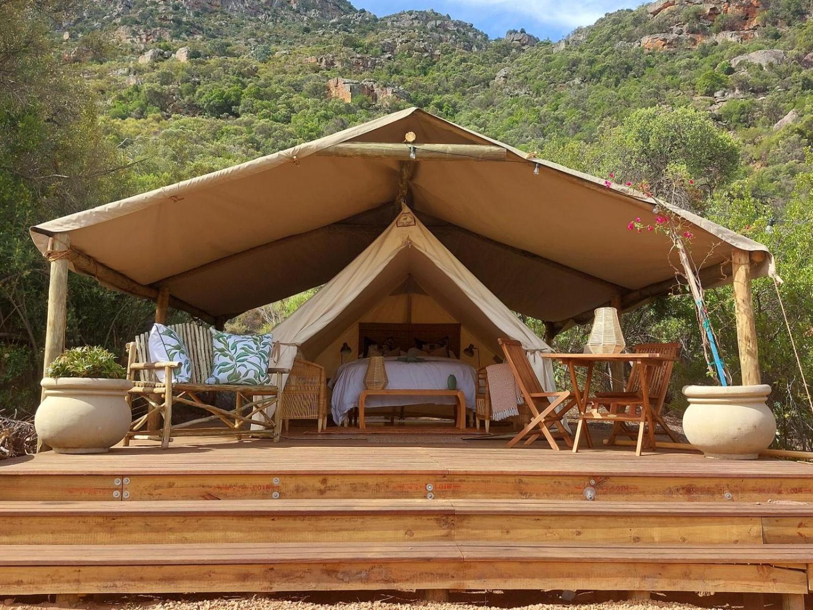 Leopard Valley Eco Retreat Ситрусдал Номер фото