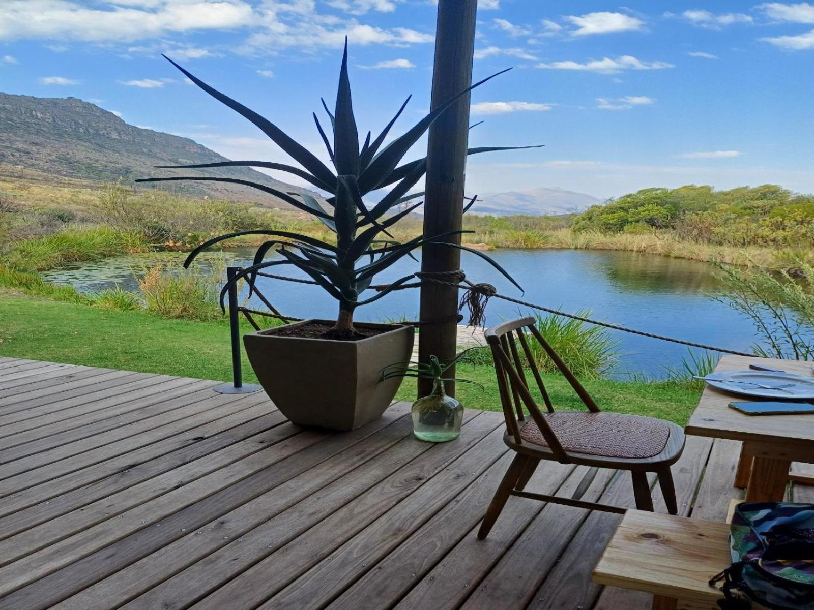 Leopard Valley Eco Retreat Ситрусдал Номер фото